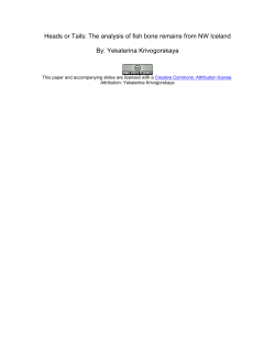 Heads or Tails: The analysis of fish bone remains from NW Iceland