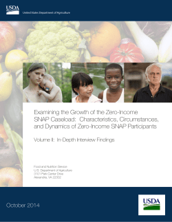 Examining the Growth of the Zero