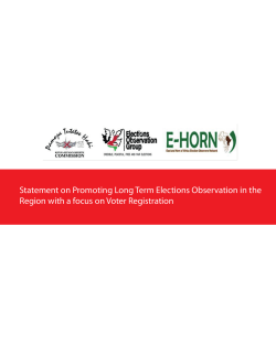 Statement on Promoting Long Term Elections Observation in the