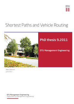 Shortest Paths and Vehicle Routing
