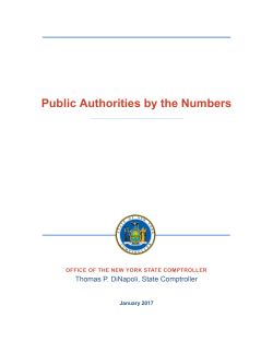 Public Authorities by the Numbers