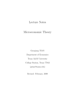 Lecture Notes Microeconomic Theory