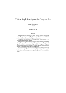 Efficient Single State Agents for Computer Go