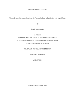 UNIVERSITY OF CALGARY Thermodynamic Formation Conditions