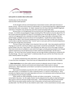 Some points to consider about cattle water Ted McCollum III, PhD