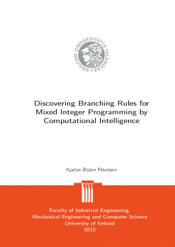 Discovering Branching Rules for Mixed Integer Programming by