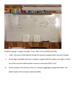 Goldfish example: 3 stages of supply &ndash; Price, CERT T