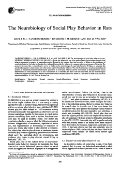 The Neurobiology of Social Play Behavior in Rats