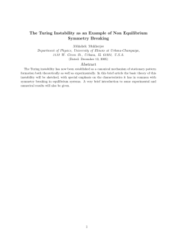 The Turing Instability as an Example of Non Equilibrium Symmetry