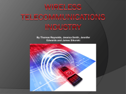 Wireless Telecommunications Industry