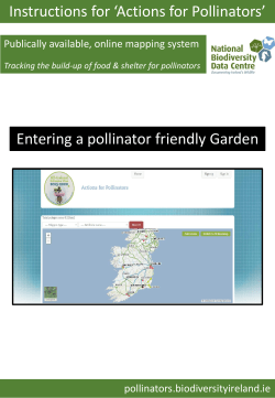Actions for Pollinators