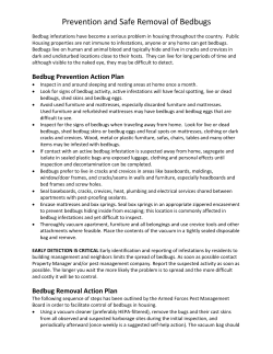 Prevention and Safe Removal of Bedbugs