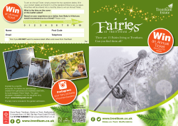the Fairy Trail