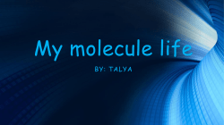 My molecule life