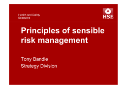 Principles of sensible risk management