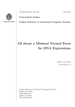 All about a Minimal Normal Form for DNA Expressions