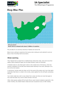 Deep Blue Plus - SA Specialist