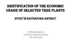 Identification of the economic usage of selected tree planTS
