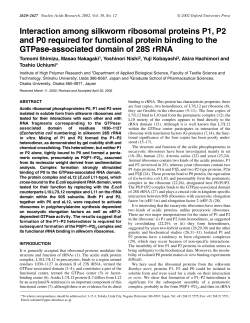 Interaction among silkworm ribosomal proteins P1, P2 and P0