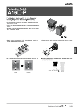 A16_-P Datasheet