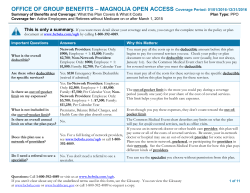 OFFICE OF GROUP BENEFITS &ndash; MAGNOLIA OPEN ACCESS