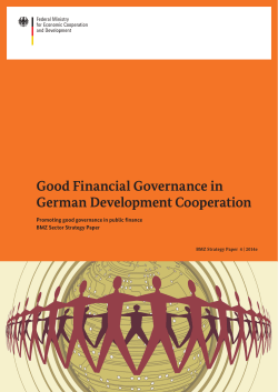 Good Financial Governance in German Development Cooperation