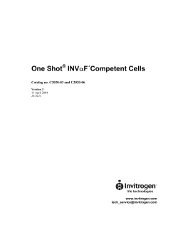 One Shot &reg; INV&alpha;F&acute;Competent Cells