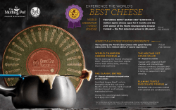 best cheese - The Melting Pot