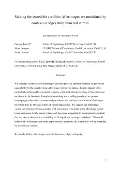 Luminance contours enhance afterimage visibility