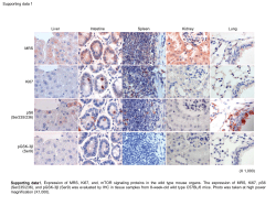 PowerPoint - Springer Static Content Server