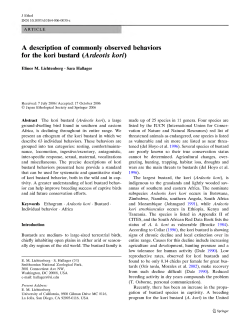 A description of commonly observed behaviors for the