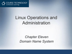 Domain Name System