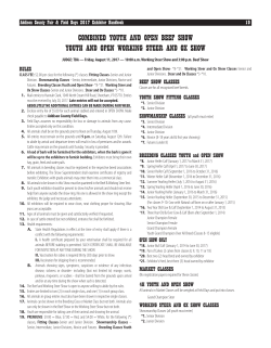 combined youth and open beef show youth and open working steer