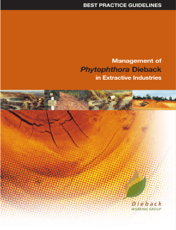 Dieback Working Group B/let - Forest Phytophthoras of the World