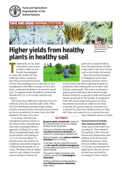 Higher yields from healthy plants in healthy soil