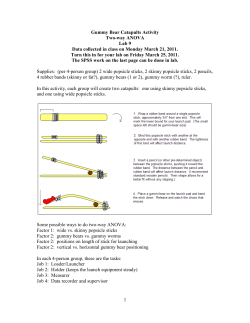 Gummy Bear Catapults Activity