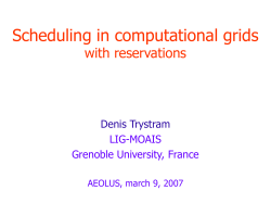 Efficient exploitation of a dynamic cluster for parallel computation