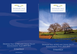 Strategy - Dedham Vale AONB