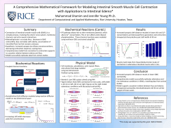 A Comprehensive Mathematical Framework for Modeling Intestinal