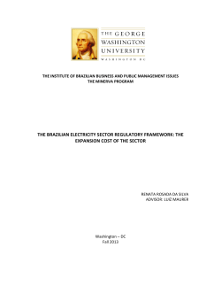 THE BRAZILIAN ELECTRICITY SECTOR REGULATORY