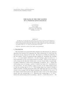 THE RANK OF THE TRIP MATRIX OF A POSITIVE KNOT DIAGRAM