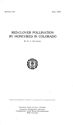 RED-CLOVER POLLINATION BY HONEYBEES IN COLORADO