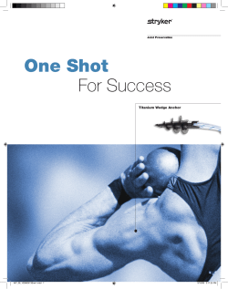 One Shot For Success