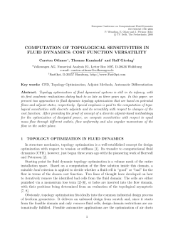 computation of topological sensitivities in fluid dynamics: cost