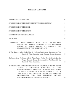 Plaintiffs` Appeal brief re: Motion to Dismiss