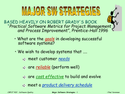 MAJOR STRATEGIES OF A SOFTWARE BUSINESS