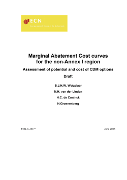 Marginal Abatement Cost curves for the non