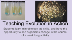 Teaching Evolution in Action