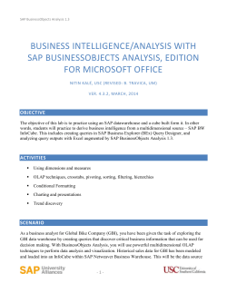 BusinessObjects Analysis