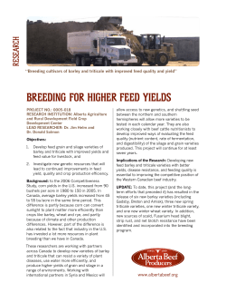 Breeding for higher feed yields